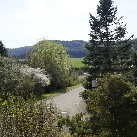 Am Irrenbaechle Albstadt