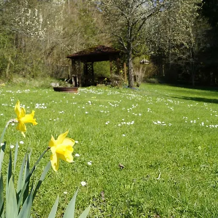 Homestay Am Irrenbaechle *