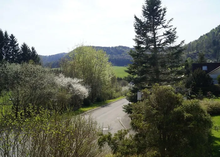 Am Irrenbaechle Albstadt