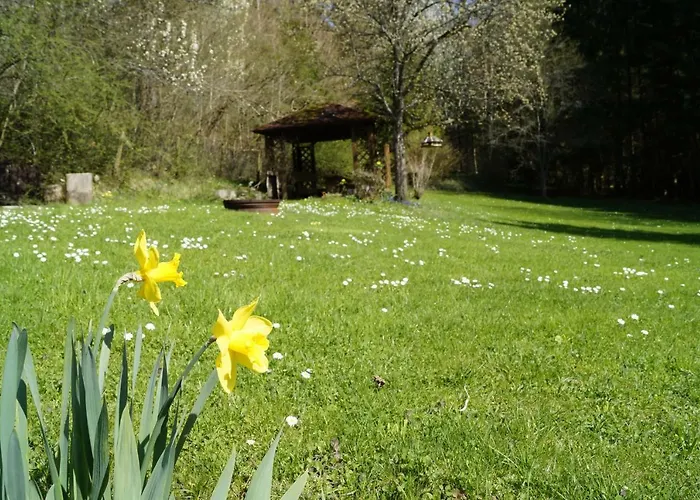 게스트하우스 Am Irrenbaechle 3*